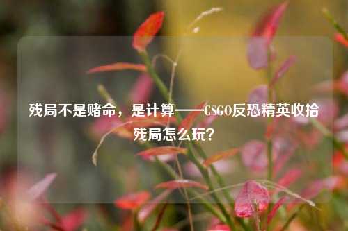 残局不是赌命,是计算——CSGO反恐精英收拾残局怎么玩?
