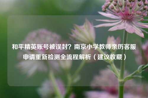 和平精英账号被误封?南京小学教师亲历客服申请重新检测全流程解析(建议收藏)