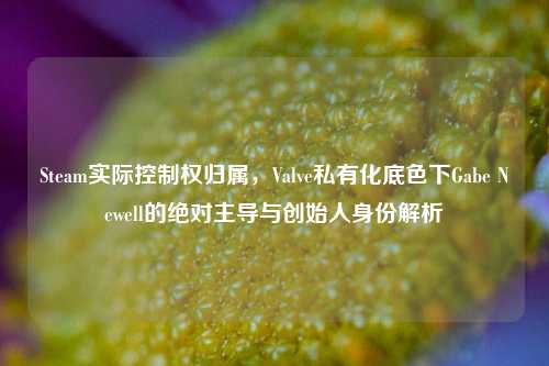 Steam实际控制权归属,Valve私有化底色下Gabe Newell的绝对主导与创始人身份解析