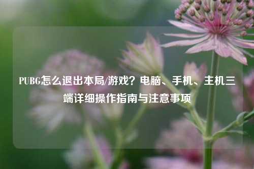 PUBG怎么退出本局/游戏?电脑、手机、主机三端详细操作指南与注意事项