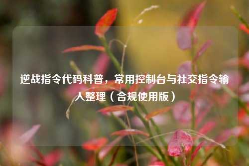 逆战指令代码科普，常用控制台与社交指令输入整理（合规使用版）