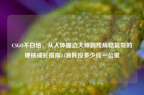 CSGO不白给,从人体描边大师到残局稳赢哥的硬核成长指南14油耗投多少钱一公里