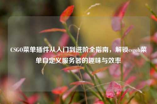 CSGO菜单插件从入门到进阶全指南,解锁csgoh菜单自定义服务器的趣味与效率