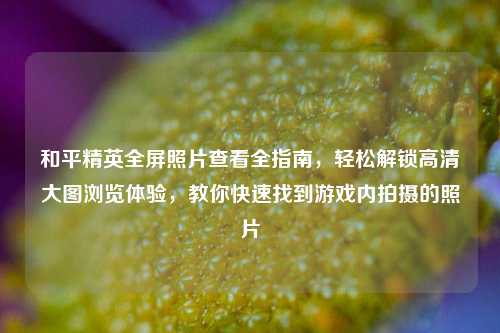 和平精英全屏照片查看全指南,轻松解锁高清大图浏览体验,教你快速找到游戏内拍摄的照片
