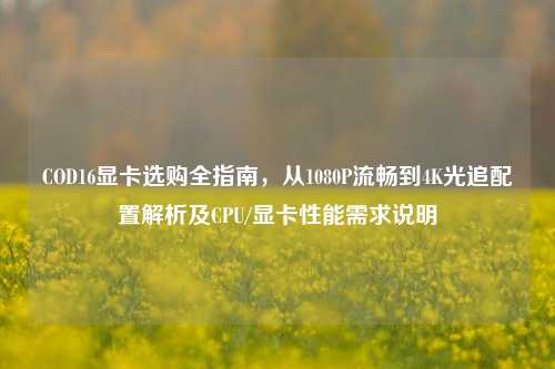 COD16显卡选购全指南,从1080P流畅到4K光追配置解析及CPU/显卡性能需求说明