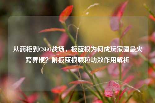 从药柜到CSGO战场，板蓝根为何成玩家圈最火跨界梗？附板蓝根颗粒功效作用解析