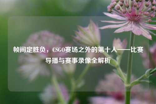 帧间定胜负,CSGO赛场之外的第十人——比赛导播与赛事录像全解析