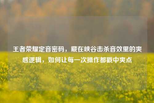 王者荣耀定音密码,藏在峡谷击杀音效里的爽感逻辑,如何让每一次操作都戳中爽点