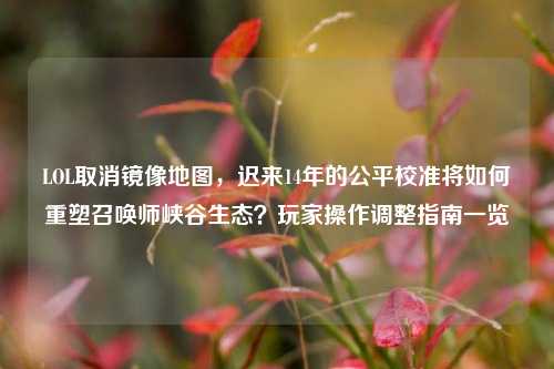 LOL取消镜像地图,迟来14年的公平校准将如何重塑召唤师峡谷生态?玩家操作调整指南一览