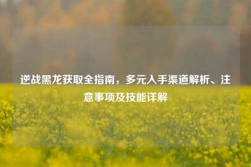 逆战黑龙获取全指南,多元入手渠道解析、注意事项及技能详解