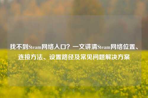 找不到Steam网络入口?一文讲清Steam网络位置、连接方法、设置路径及常见问题解决方案