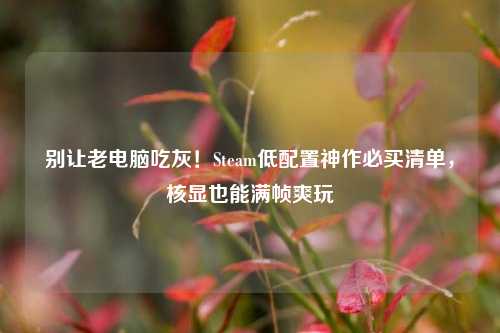 别让老电脑吃灰!Steam低配置神作必买清单,核显也能满帧爽玩