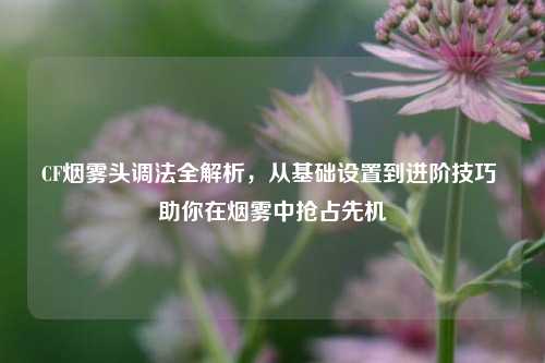 CF烟雾头调法全解析,从基础设置到进阶技巧 助你在烟雾中抢占先机