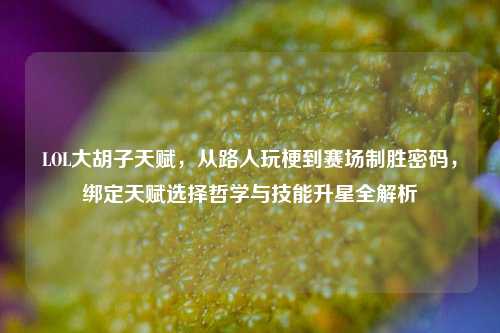 LOL大胡子天赋,从路人玩梗到赛场制胜密码,绑定天赋选择哲学与技能升星全解析