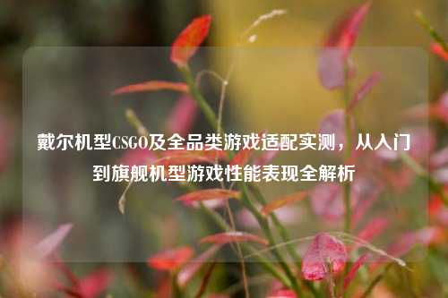 戴尔机型CSGO及全品类游戏适配实测,从入门到旗舰机型游戏性能表现全解析