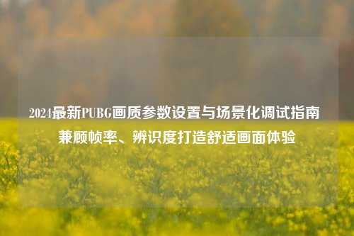 2024最新PUBG画质参数设置与场景化调试指南 兼顾帧率、辨识度打造舒适画面体验