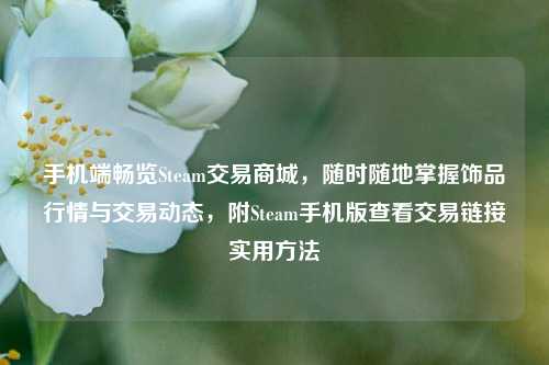 手机端畅览Steam交易商城，随时随地掌握饰品行情与交易动态，附Steam手机版查看交易链接实用方法