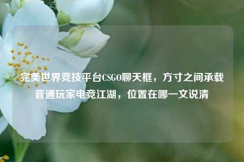完美世界竞技平台CSGO聊天框,方寸之间承载普通玩家电竞江湖,位置在哪一文说清