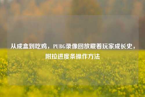 从成盒到吃鸡,PUBG录像回放藏着玩家成长史,附拉进度条操作方法