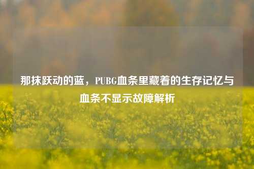 那抹跃动的蓝,PUBG血条里藏着的生存记忆与血条不显示故障解析