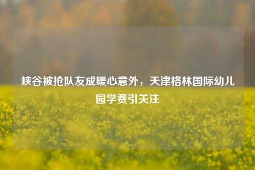 峡谷被抢队友成暖心意外,天津格林国际幼儿园学费引关注