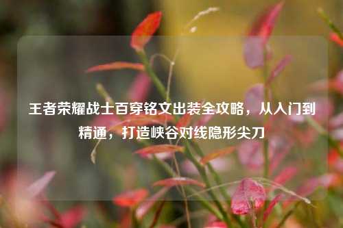 王者荣耀战士百穿铭文出装全攻略，从入门到精通，打造峡谷对线隐形尖刀