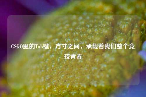 CSGO里的Tab键,方寸之间,承载着我们整个竞技青春