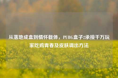 从落地成盒到情怀载体，PUBG盒子2承接千万玩家吃鸡青春及皮肤调出方法