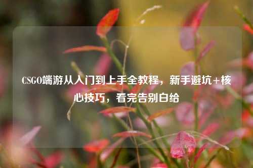 CSGO端游从入门到上手全教程,新手避坑+核心技巧,看完告别白给