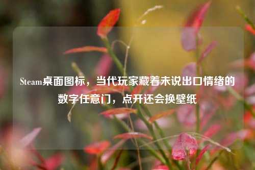 Steam桌面图标，当代玩家藏着未说出口情绪的数字任意门，点开还会换壁纸