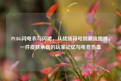 PUBG闪电衣与闪裙，从战场符号到潮流图腾，一件皮肤承载的玩家记忆与电竞热血