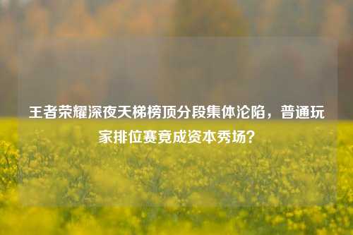 王者荣耀深夜天梯榜顶分段集体沦陷,普通玩家排位赛竟成资本秀场?