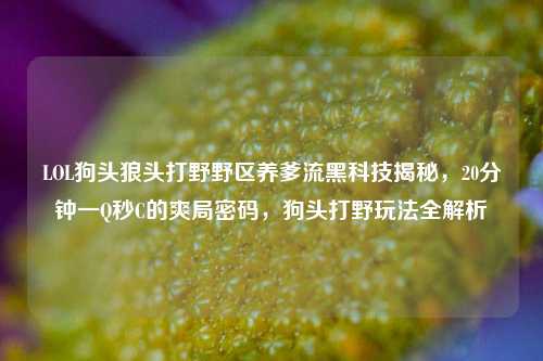 LOL狗头狼头打野野区养爹流黑科技揭秘,20分钟一Q秒C的爽局密码,狗头打野玩法全解析