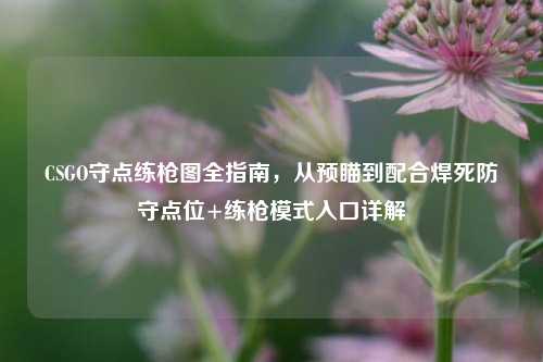 CSGO守点练枪图全指南,从预瞄到配合焊死防守点位+练枪模式入口详解