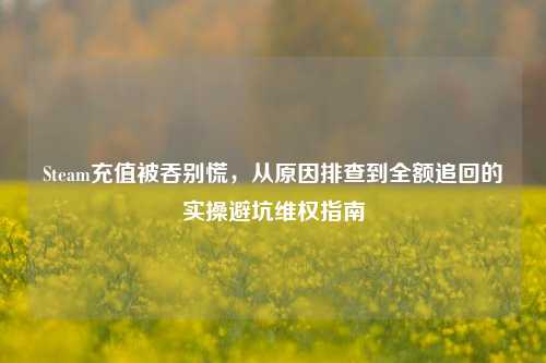 Steam充值被吞别慌,从原因排查到全额追回的实操避坑维权指南