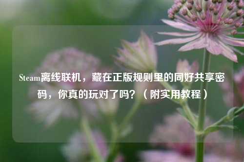 Steam离线联机,藏在正版规则里的同好共享密码,你真的玩对了吗?(附实用教程)