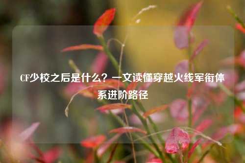 CF少校之后是什么?一文读懂穿越火线军衔体系进阶路径