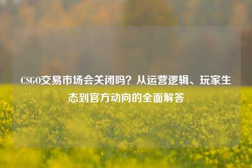CSGO交易市场会关闭吗？从运营逻辑、玩家生态到官方动向的全面解答