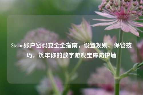 Steam账户密码安全全指南，设置规则、保管技巧，筑牢你的数字游戏宝库防护墙