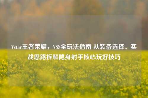 Vstar王者荣耀，VSS全玩法指南 从装备选择、实战思路拆解隐身射手核心玩好技巧