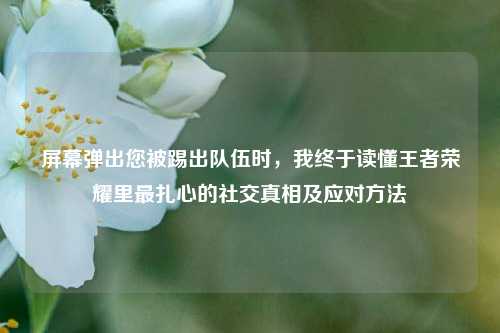 屏幕弹出您被踢出队伍时，我终于读懂王者荣耀里最扎心的社交真相及应对方法