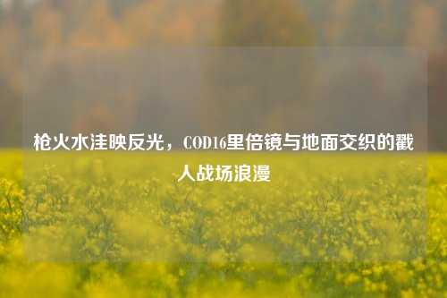 枪火水洼映反光，COD16里倍镜与地面交织的戳人战场浪漫