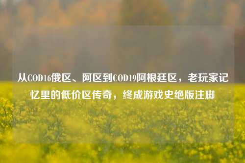 从COD16俄区、阿区到COD19阿根廷区,老玩家记忆里的低价区传奇,终成游戏史绝版注脚
