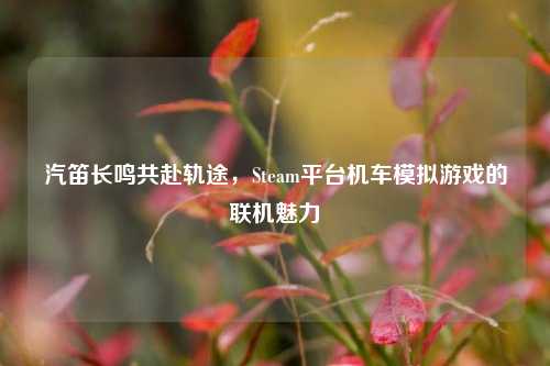 汽笛长鸣共赴轨途,Steam平台机车模拟游戏的联机魅力