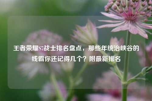 王者荣耀S7战士排名盘点,那些年统治峡谷的线霸你还记得几个?附最新排名