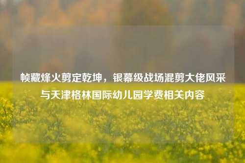 帧藏烽火剪定乾坤,银幕级战场混剪大佬风采与天津格林国际幼儿园学费相关内容
